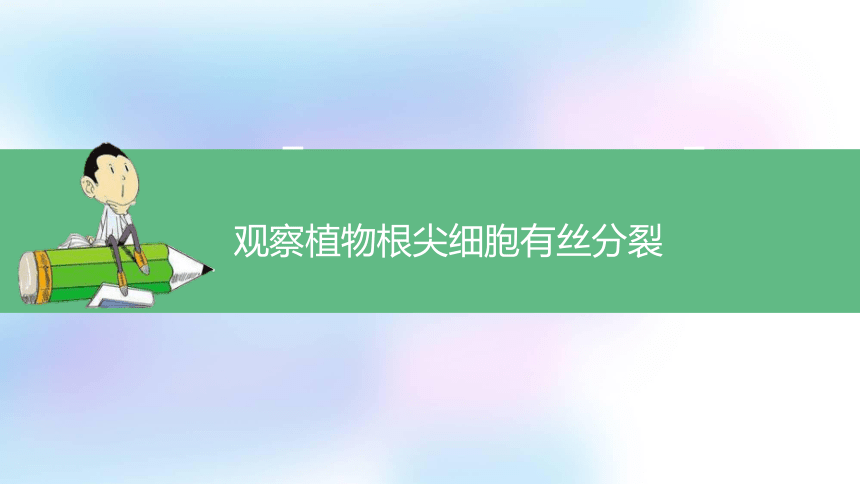 4.1.2 植物细胞的有丝分裂、减数分裂和无丝分裂课件(共23张PPT)2023-2024学年高一上学期生物苏教版必修1