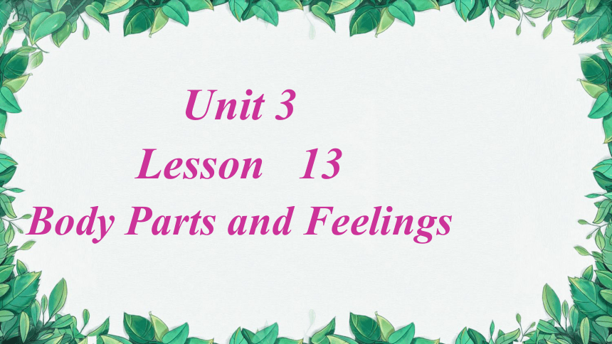 冀教版英语七年级上册Unit 3  Body Parts and Feelings Lesson 13 课件（22张PPT）