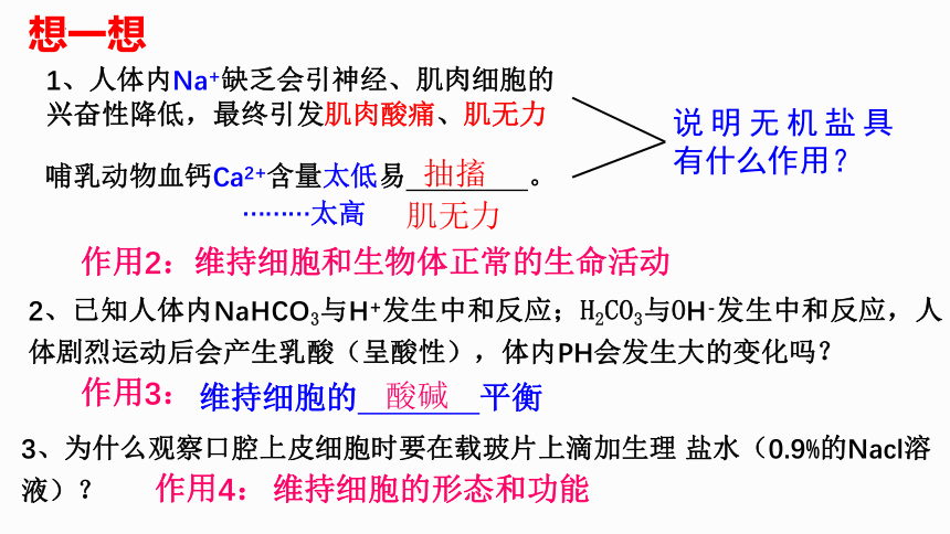 2.3 细胞中的糖类和脂质课件（共22张PPT）-2023-2024学年高一上学期生物人教版（2019）必修1