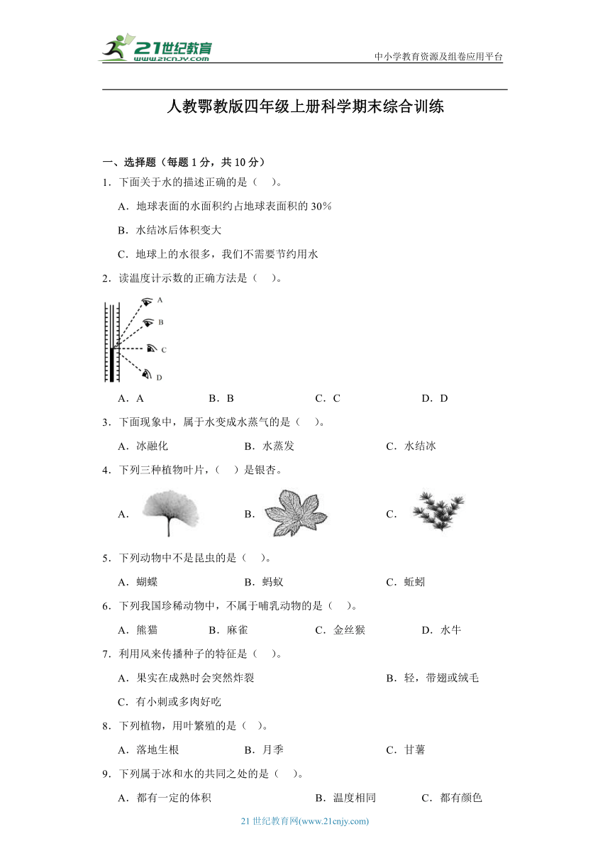 人教鄂教版四年级上册科学期末综合训练（含答案）