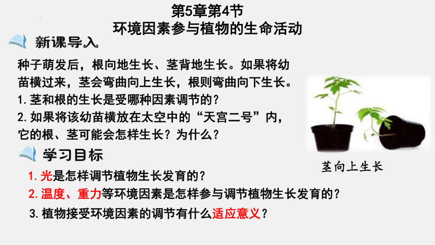5.4环境因素参与调节植物的生命活动课件(共23张PPT)-人教版选择性必修1