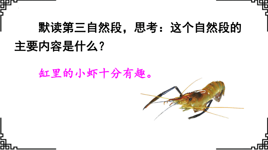 15.《小虾》课件(共24张PPT)