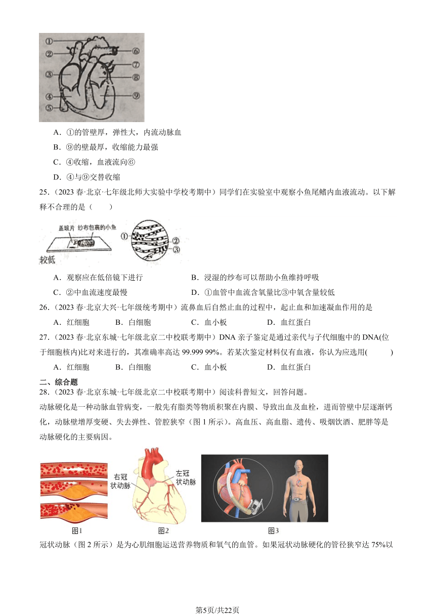 2023北京重点校初一（下）期中生物汇编：人体内的物质运输习题（PDF版含解析）