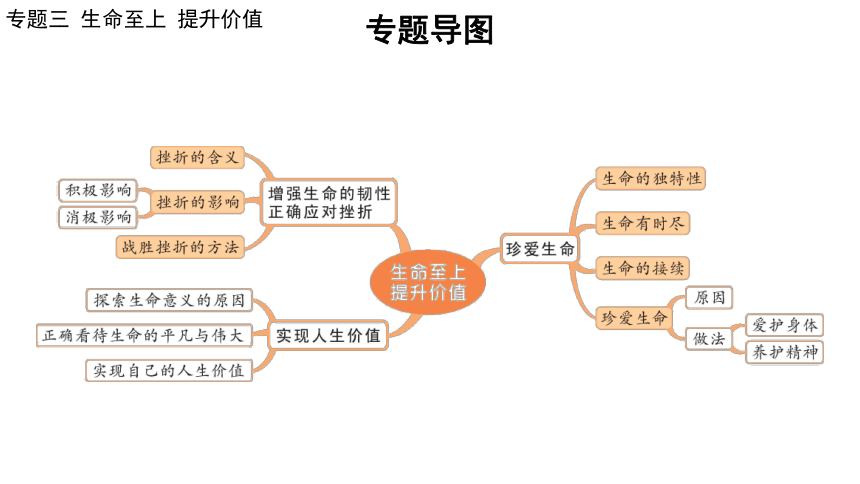 2024年中考道德与法治二轮总复习课件(共86张PPT)：专题三  生命至上  提升价值