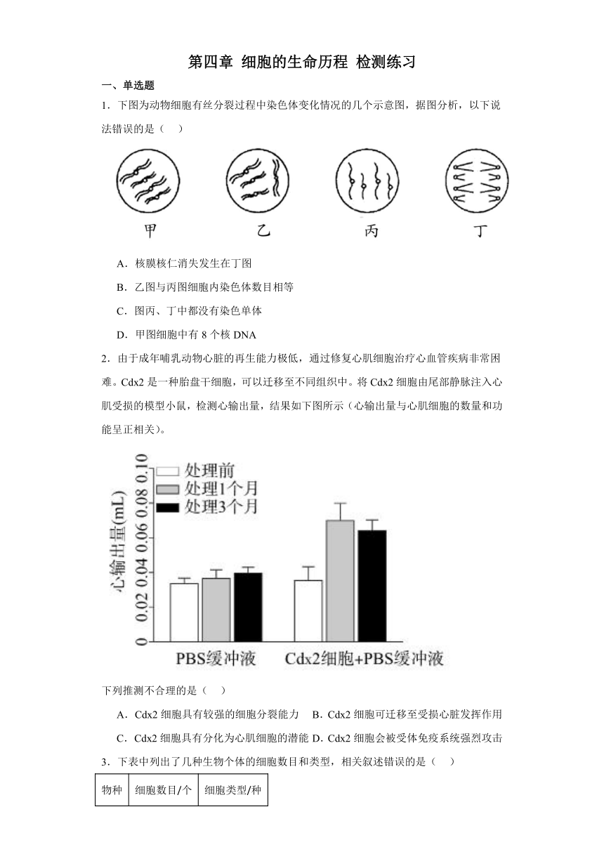 第四章 细胞的生命历程 检测练习（含答案解析）