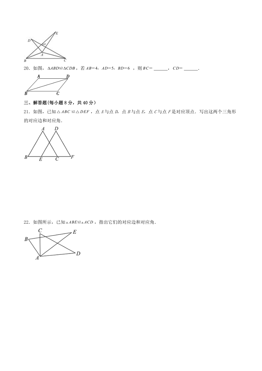 2023-2024学年八年级华东师大版数学上册 13.2.1和13.2.2 全等三角形及判定条件 同步练习（含答案）