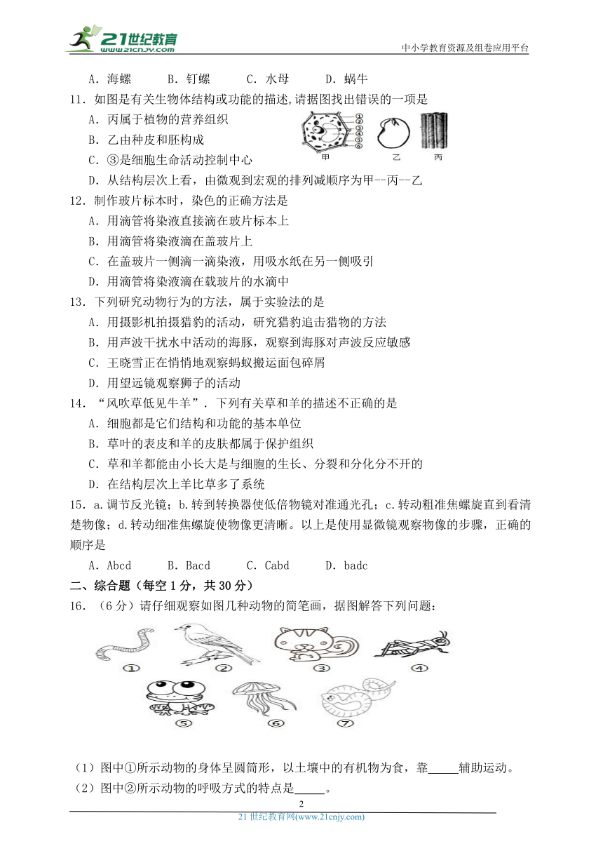 2023—2024学年七年级生物冀少版上册期末测试卷（五）（含答案）