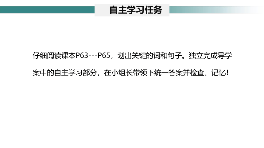 2.2.3植物体的结构层次课件(共25张PPT)2023-2024学年七年级生物上册