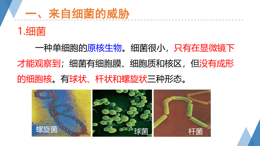 3.2 来自微生物的威胁 第1课时—2023-2024学年浙教版科学九年级下册（课件 29张ppt）