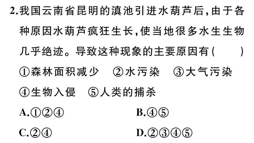 6.3保护生物的多样性练习课件(共17张PPT)