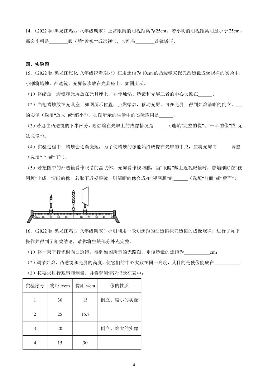 5.4 眼睛和眼镜 同步练习（含解析） 2022-2023学年上学期黑龙江省各地八年级物理期末试题选编