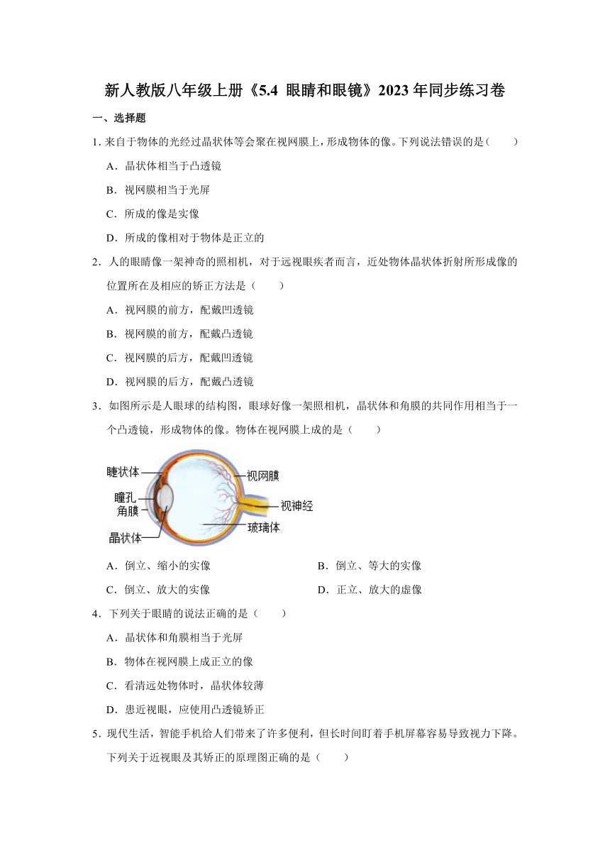 新人教版八年级上册《5.4 眼睛和眼镜》2023年同步练习卷（含解析）