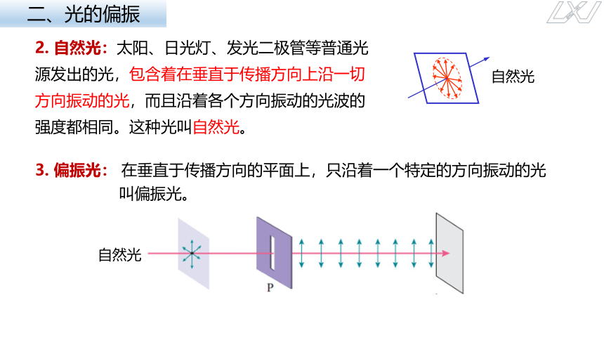 4.6光的偏振、激光课件-2023-2024学年高二上学期物理人教版（2019）选择性必修第一册(共20张PPT)