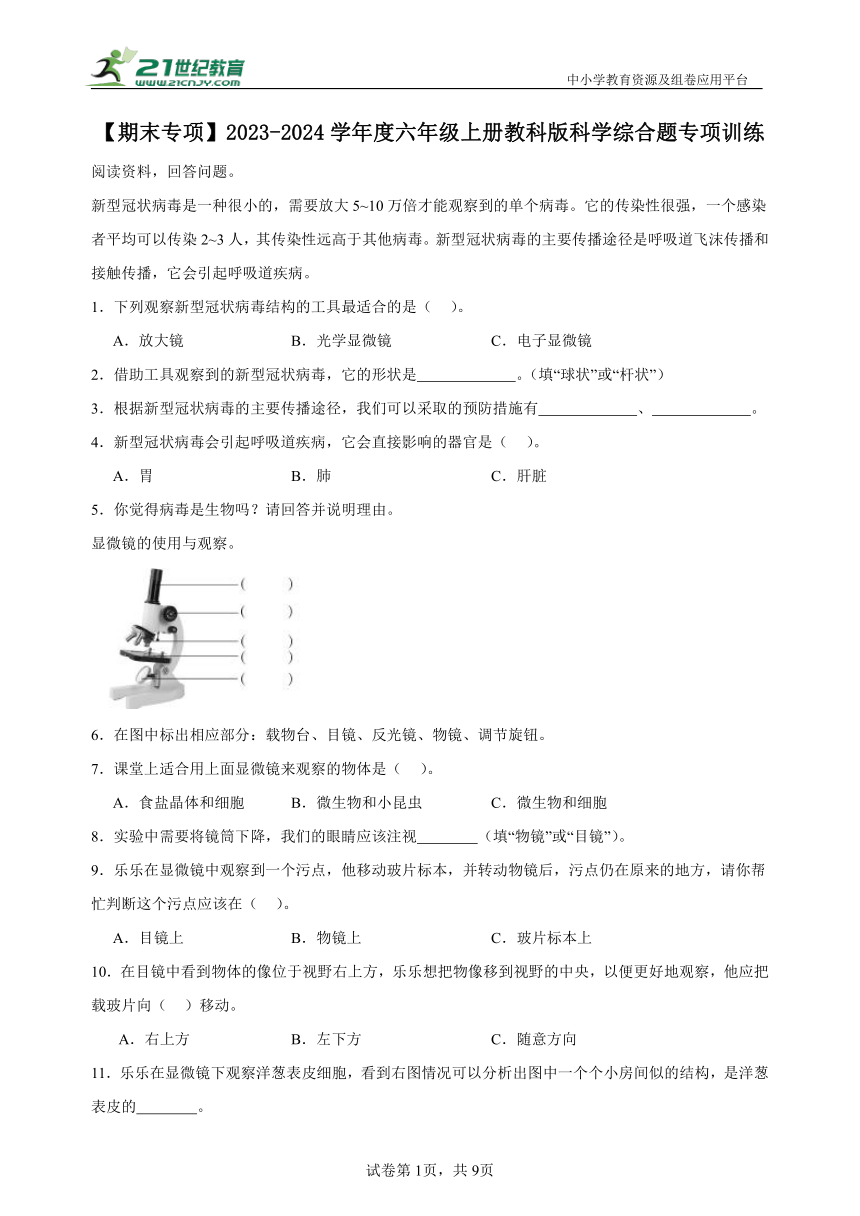 【期末专项】2023-2024学年度六年级上册教科版科学综合题专项训练（含答案）