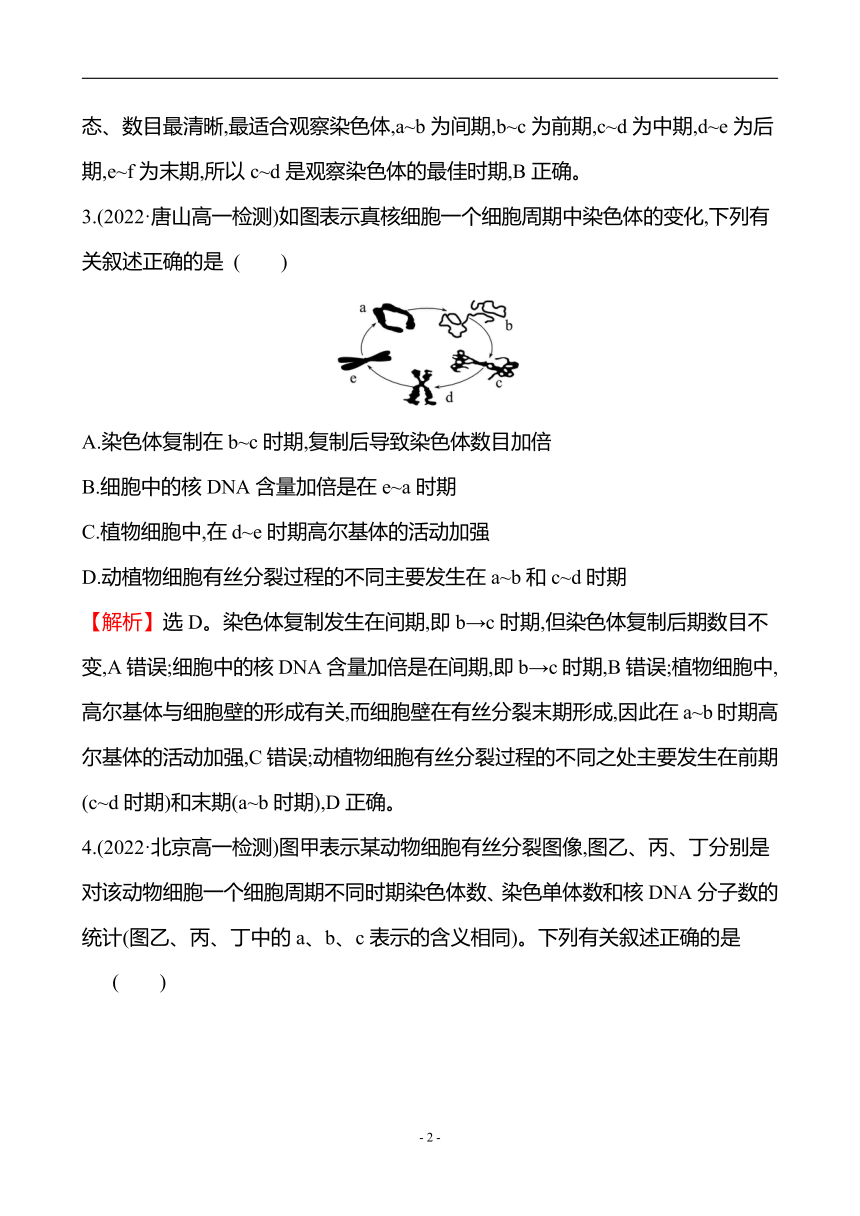 人教生物必修1微专题强化练（4）细胞周期和有丝分裂（含解析）