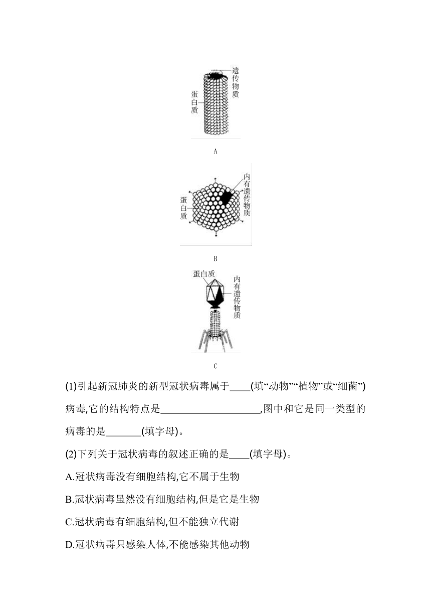 2.3.1　病毒素养提升练（含解析）山东省济南市 济南版生物七年级上册