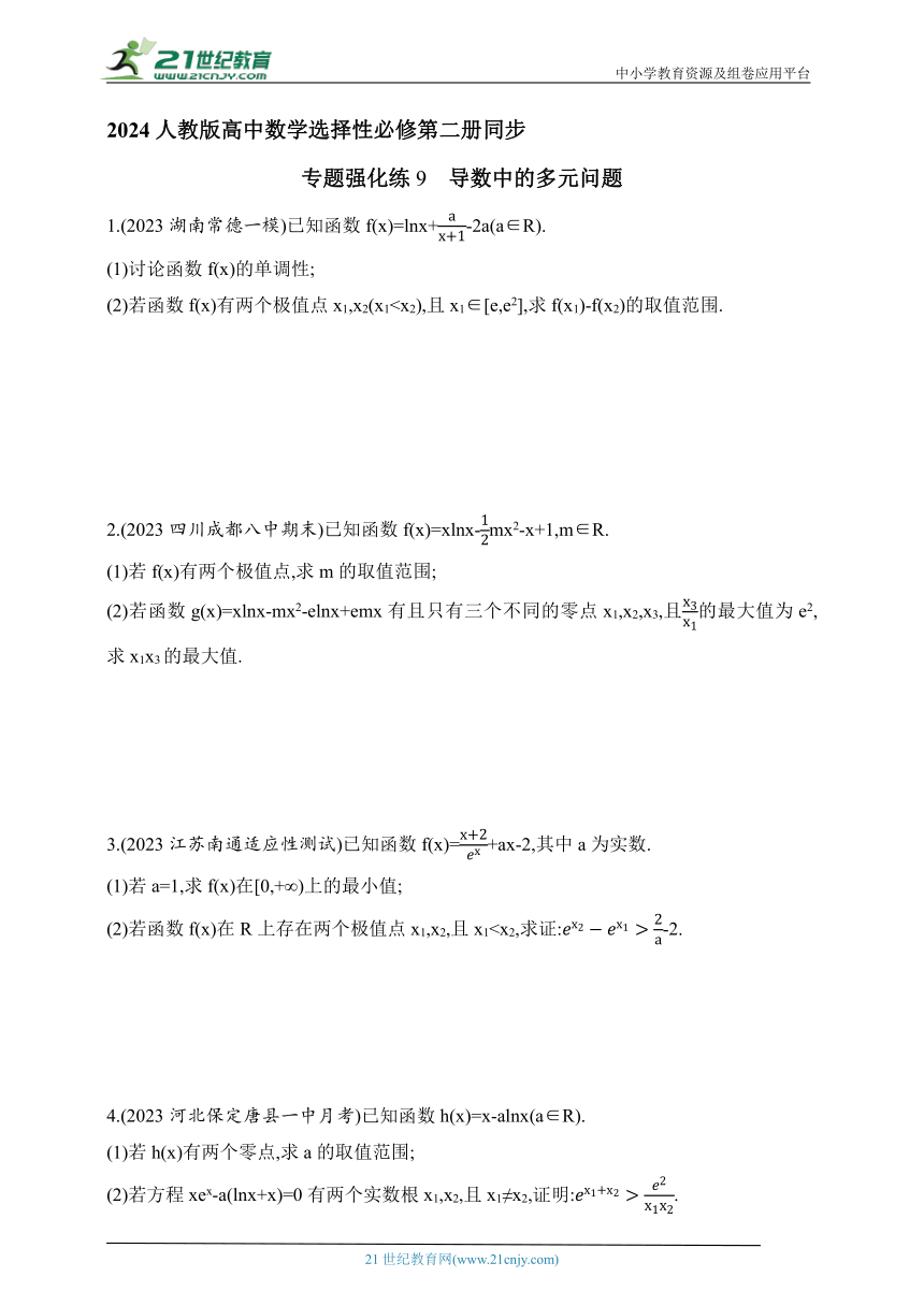 2024人教版高中数学选择性必修第二册同步练习题（含解析）--专题强化练9　导数中的多元问题