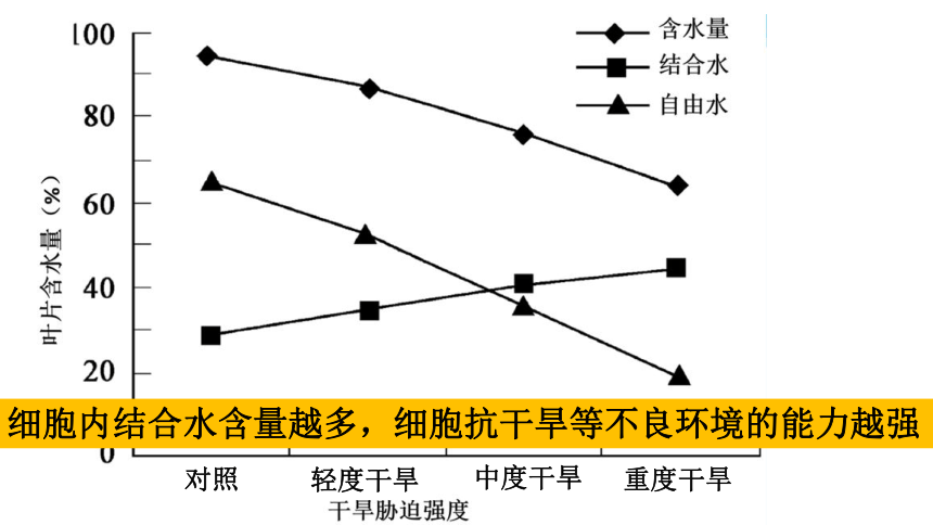 2.2 细胞中的无机物课件(共33张PPT1份视频)-高一生物课件（人教版2019必修1）