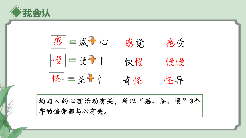 第14课 我要的是葫芦 教学课件(共41张PPT)