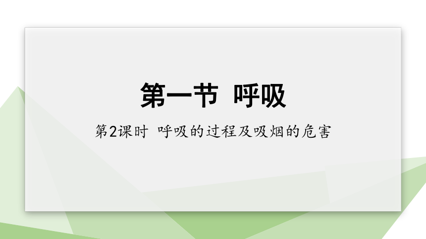 2.3.1 第2课时 呼吸的过程及吸烟的危害  课件(共26张PPT) 2023-2024学年初中生物冀少版七年级下册