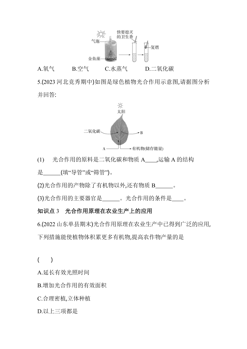 3.5.1光合作用吸收二氧化碳释放氧气素养提升练（含解析）人教版生物七年级上册