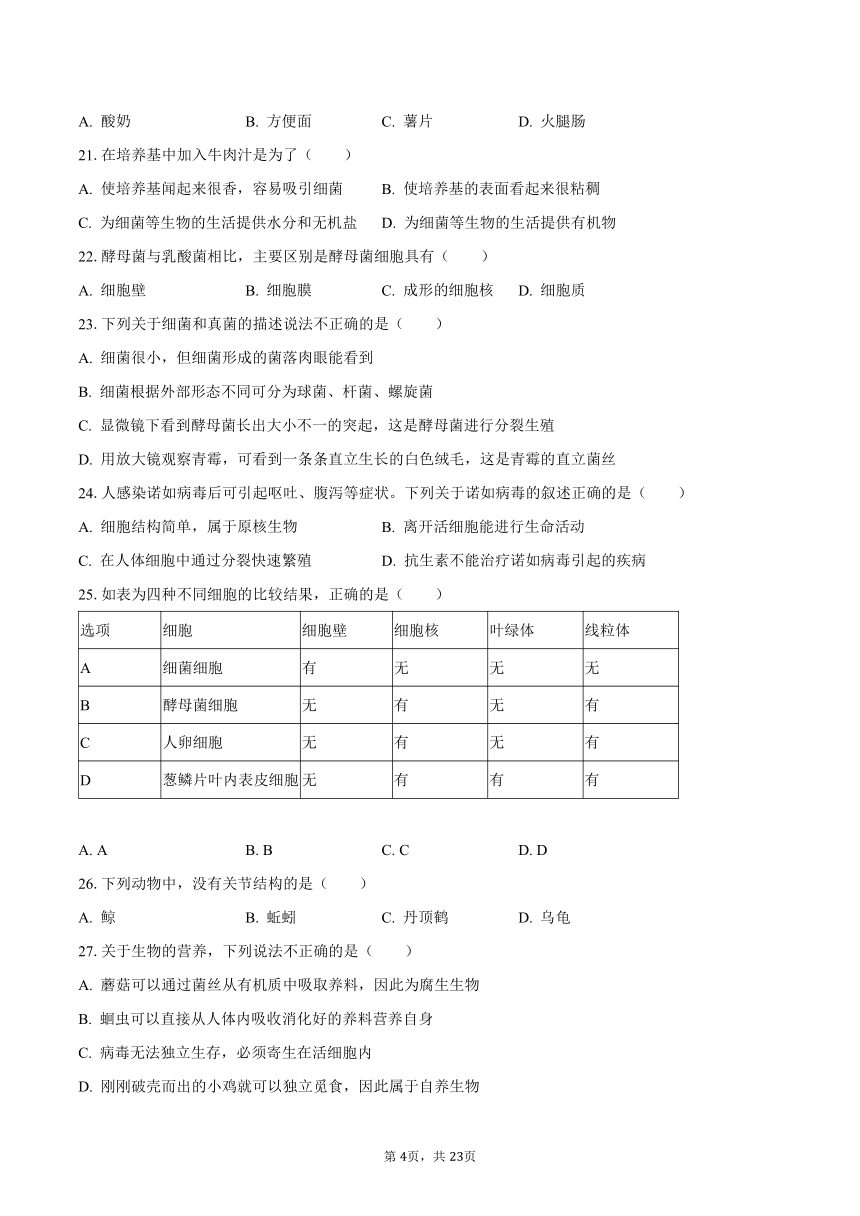 2023-2024学年广东省湛江市八年级（上）期中生物模拟试卷（含解析）