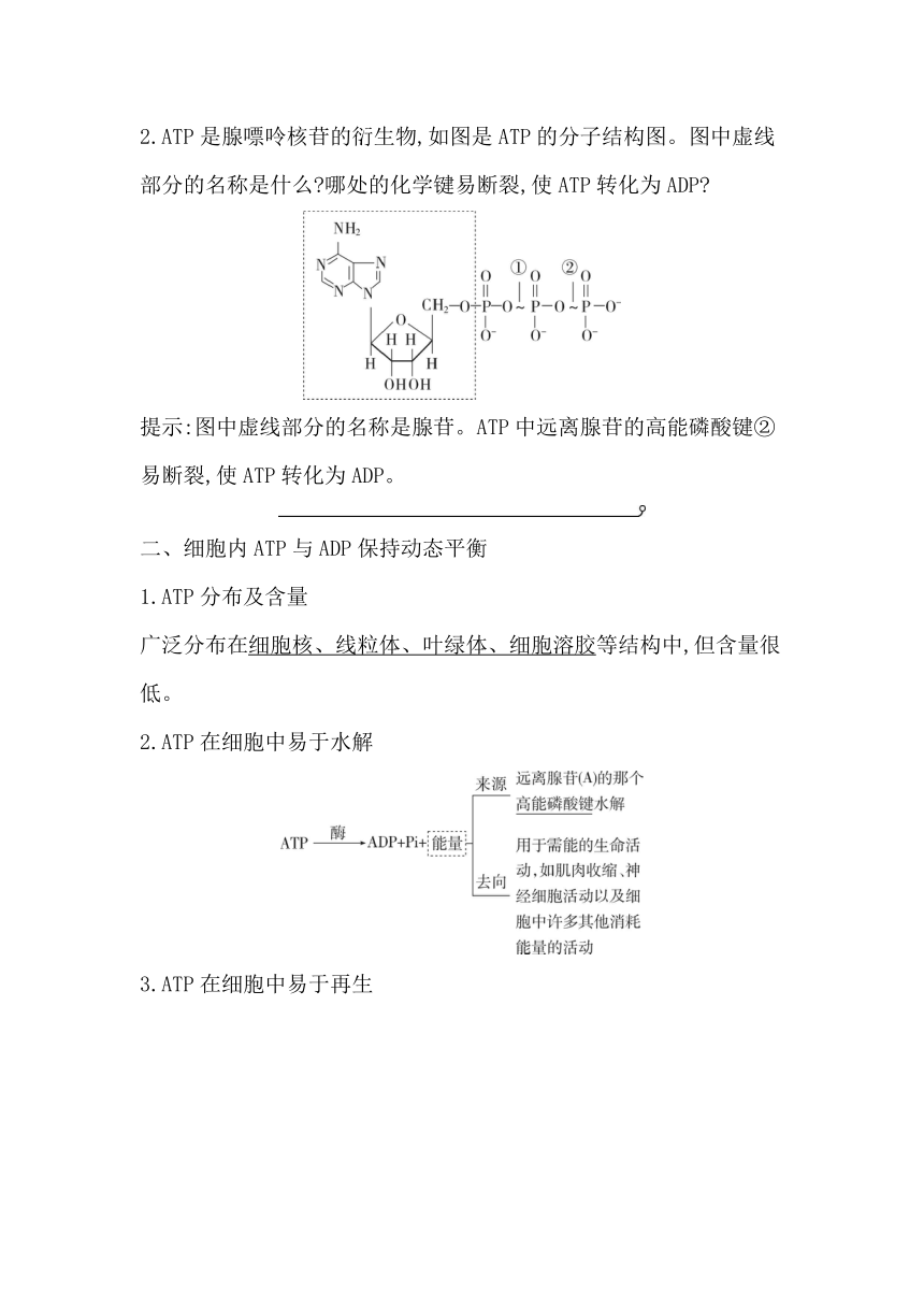 浙科版（2019）生物必修一 第三章第一节　ATP是细胞内的“能量通货”学案（有答案）