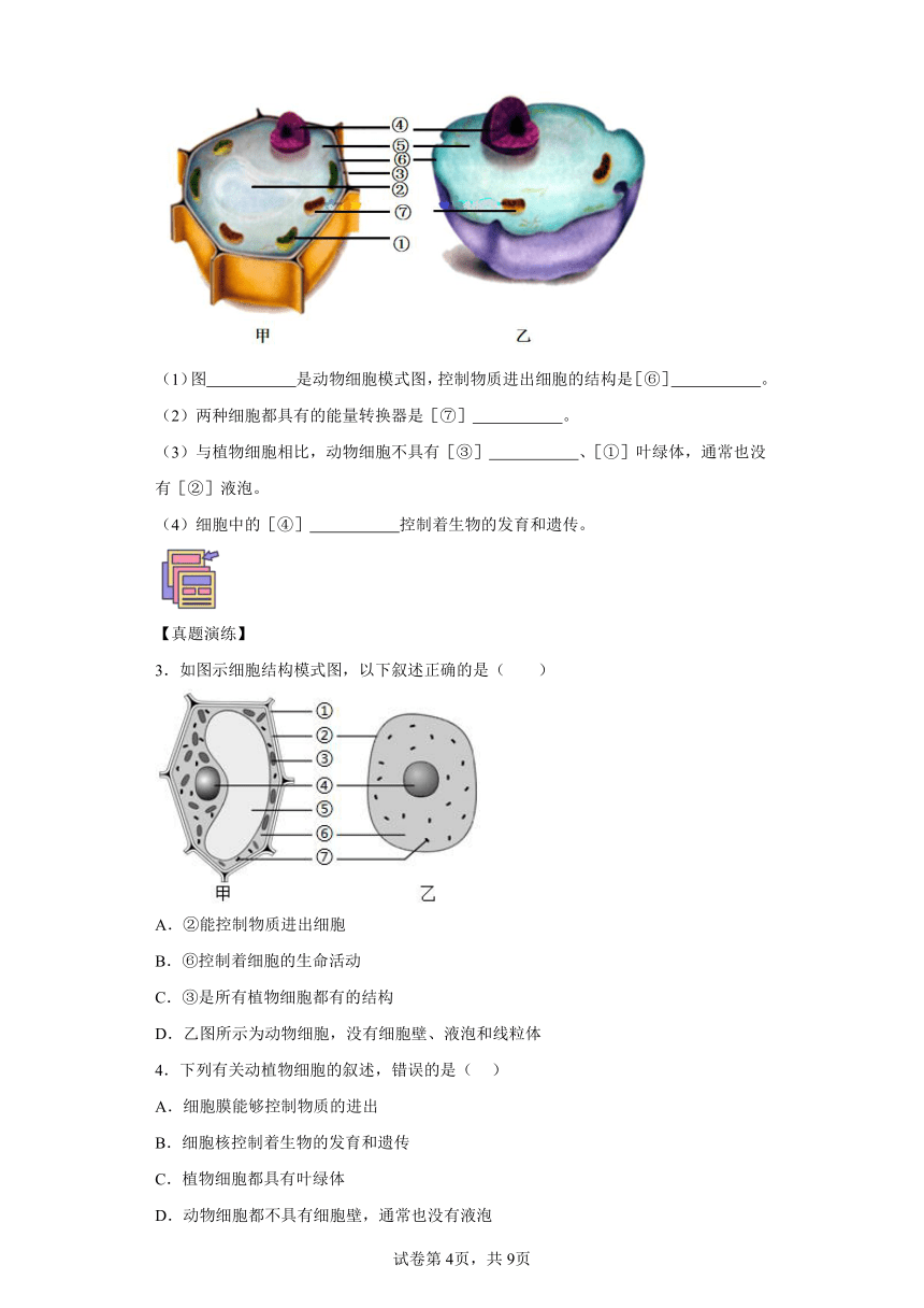 专题06动物细胞和植物细胞 八年级生物寒假自学课（含解析）