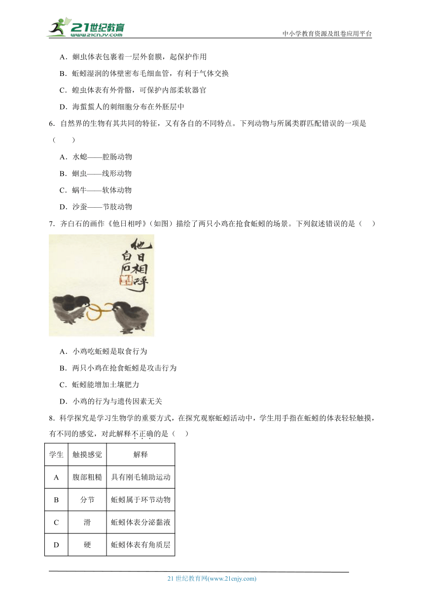 2023-2024学年初中生物济南版七年级上册期末复习专题14——无脊椎动物（含解析）