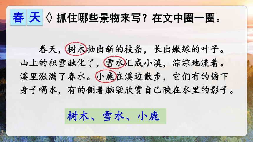 20.《美丽的小兴安岭》第二课时 课件（共44张PPT）