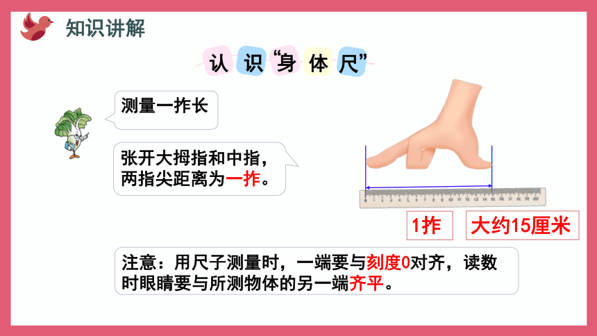 5.4 我们身体上的“尺”（课件）二年级上册数学苏教版(共18张PPT)