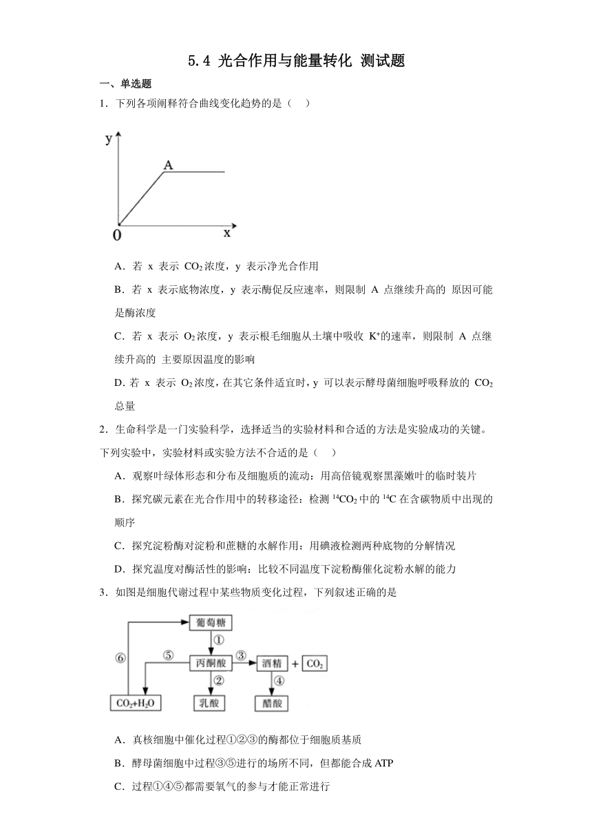 5.4 光合作用与能量转化测试题（含解析）2023-2024学年高中生物学人教版（2019）必修1