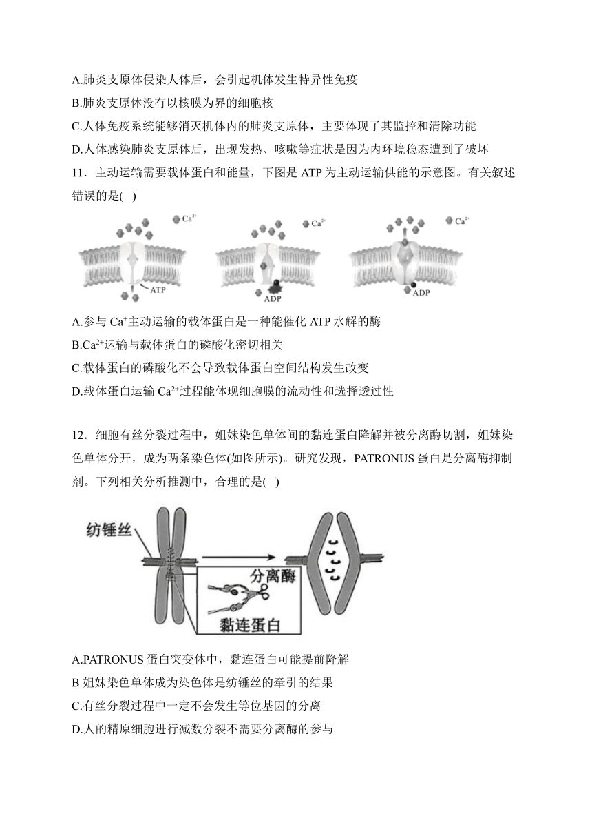 2024年02月广西南宁市武鸣区第一名校高一下学期入学考试生物试题（pdf版含答案）