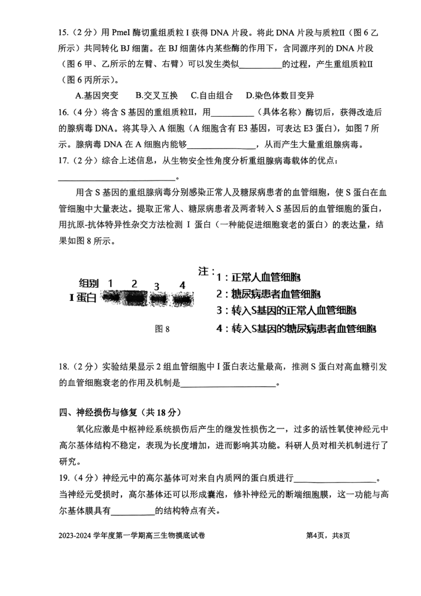 上海市某校2023-2024学年高三上学期摸底考试生物试题（扫描版无答案）