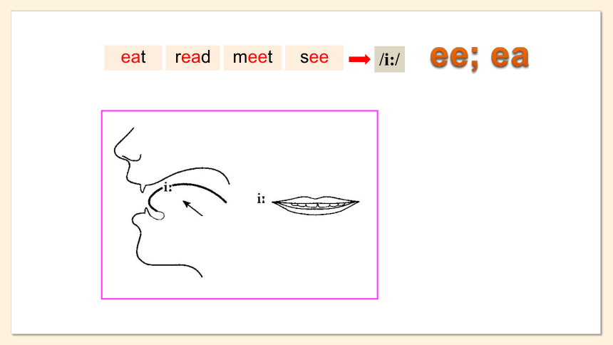 牛津译林版七年级上册Unit 4 My day Period 5 Study skills课件(共24张PPT)