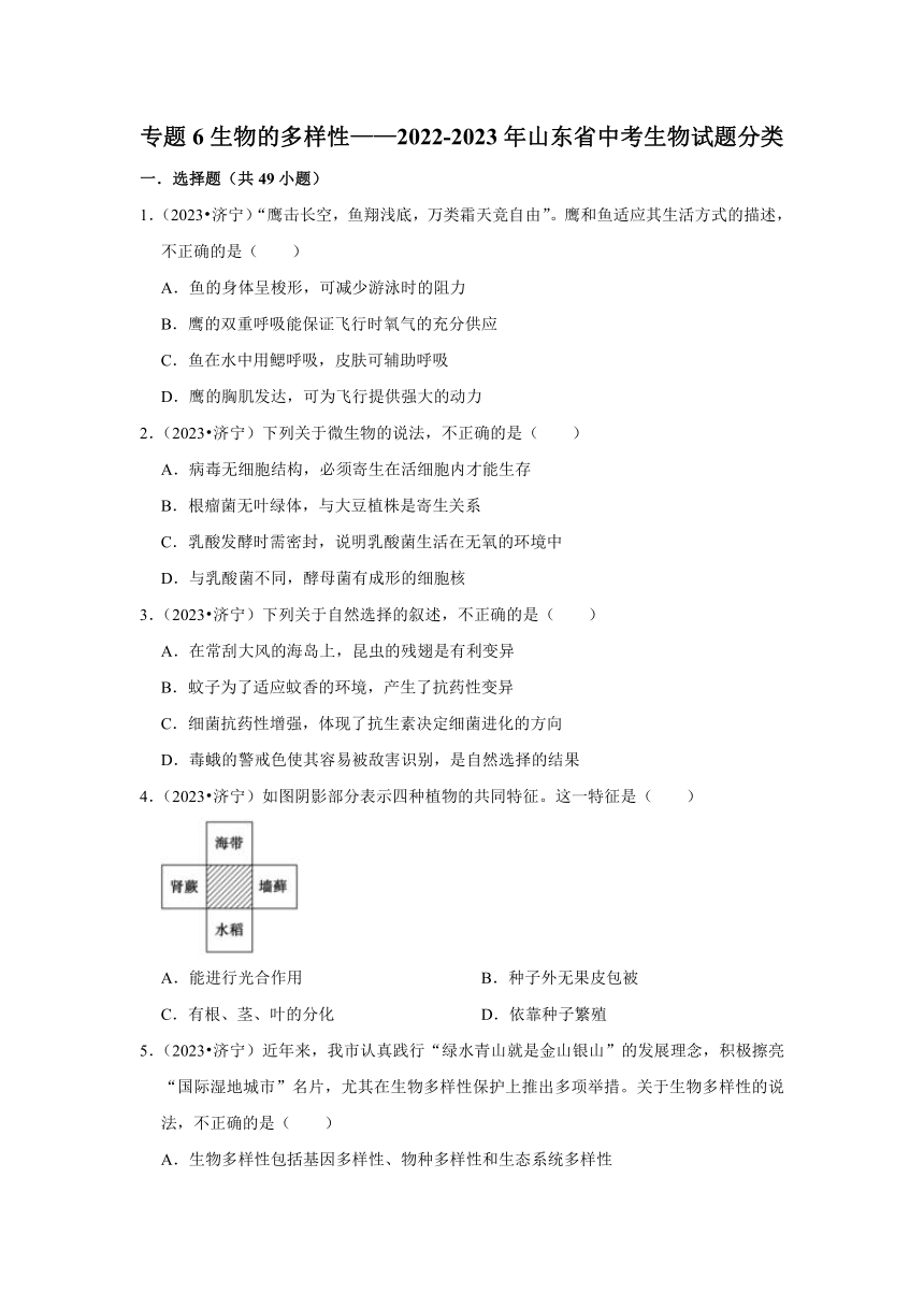 专题6生物的多样性——2022-2023年山东省中考生物试题分类（含解析）