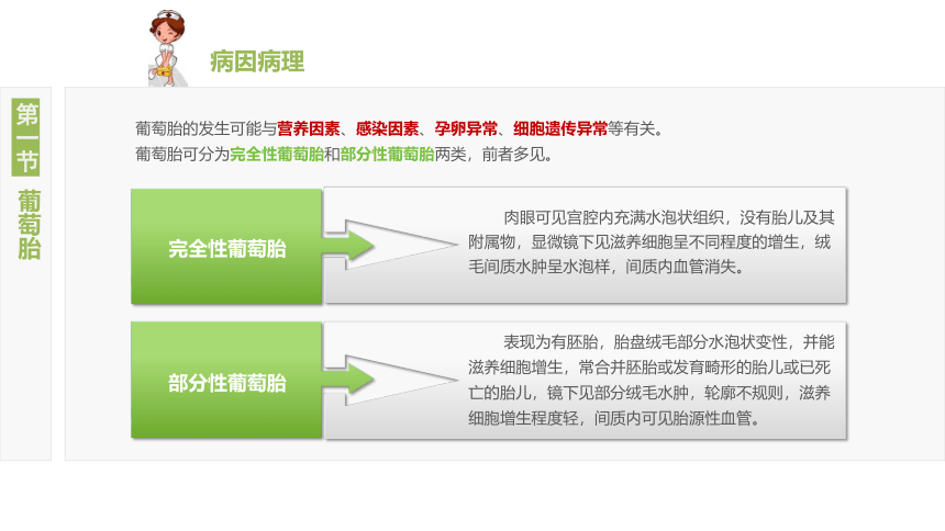 16.1葡萄胎 课件(共15张PPT)-《妇产科护理》同步教学（江苏大学出版社）