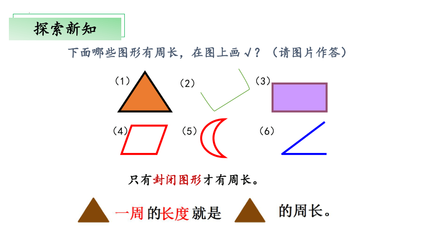 5.1《什么是周长》教学课件(共30张PPT)三年级 数学上册 北师大版