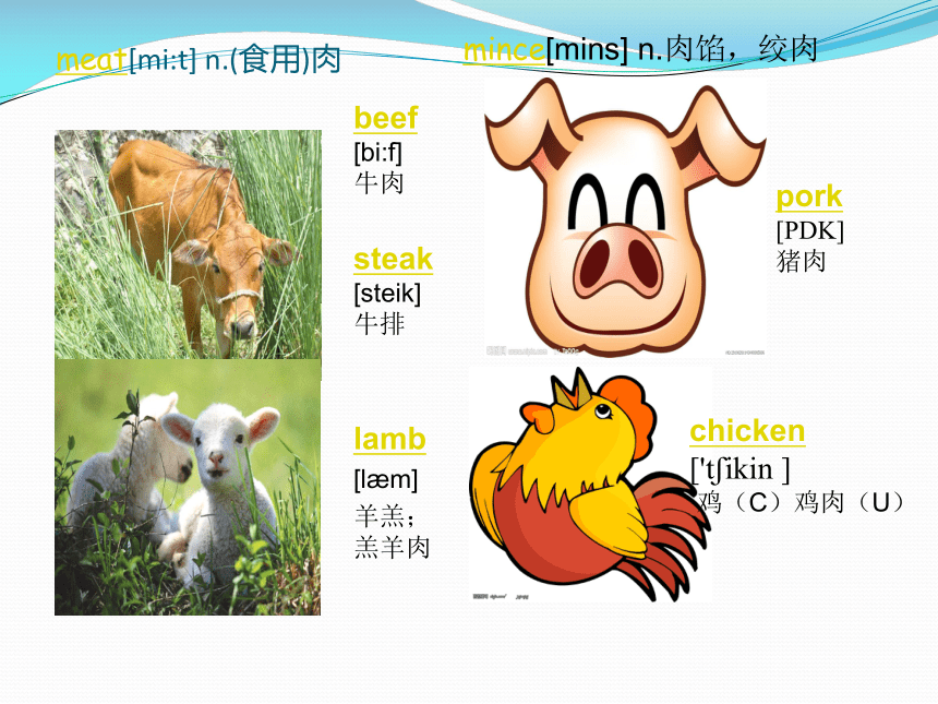 新概念英语第一册第49-50课课件(共31张PPT)