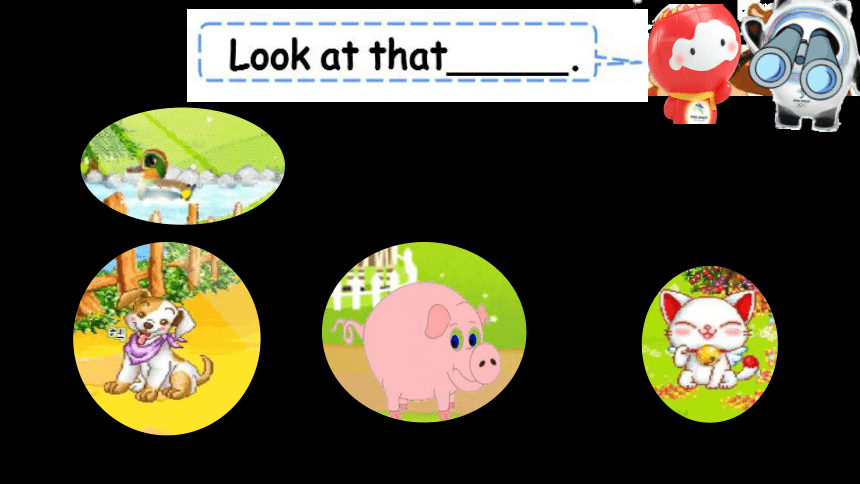 Unit 3 At the zoo Part A Let’s learn 课件(共43张PPT)