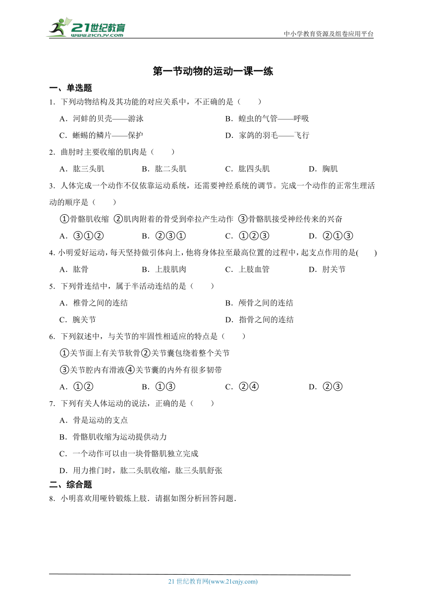 八年级上册5.2.1动物的运动一课一练（含解析）