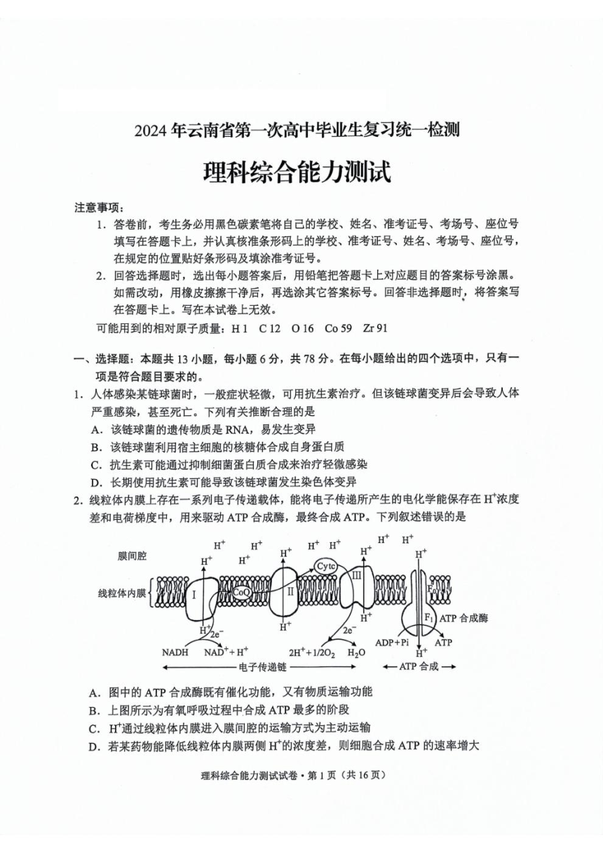 云南省2024届高三下学期3月第一次模拟考试 理综（PDF版含答案）