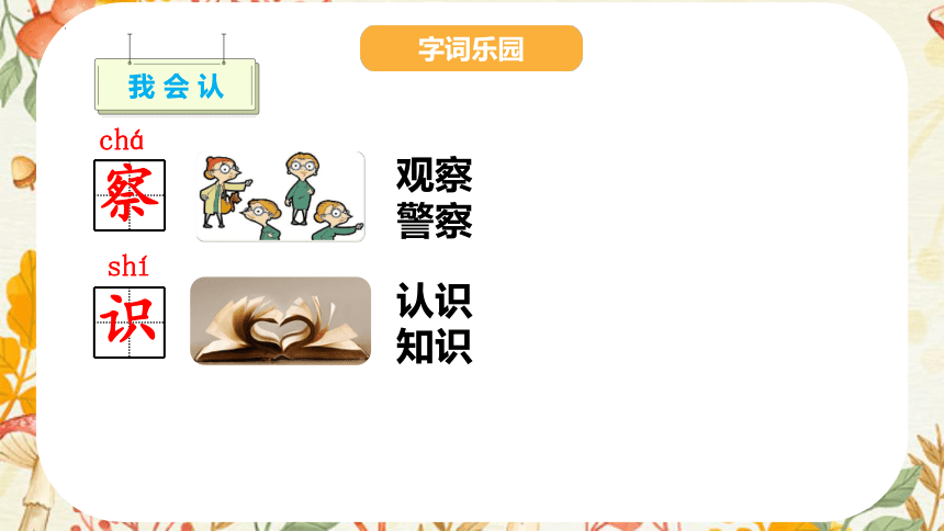 3植物妈妈有办法 课件(共22张PPT)