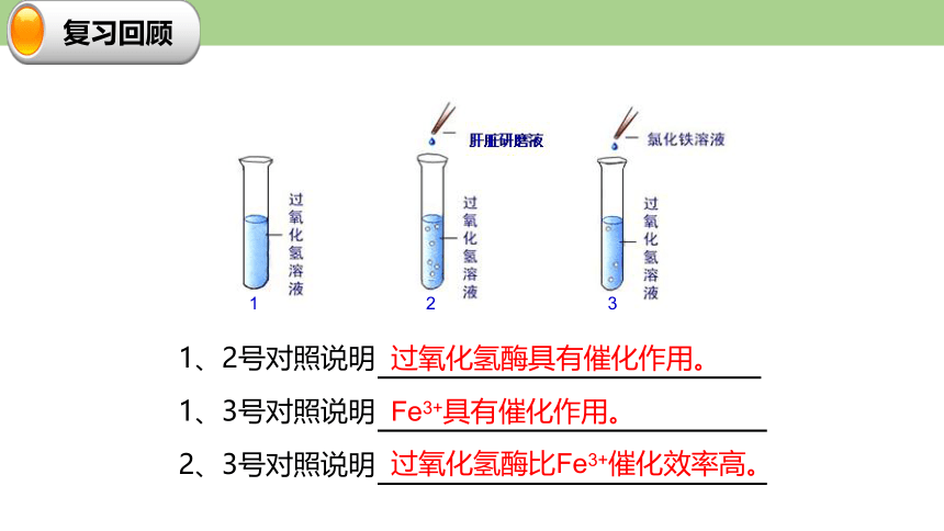 5.1降低化学反应活化能的酶课件(共31张PPT)-人教版（2019）必修1