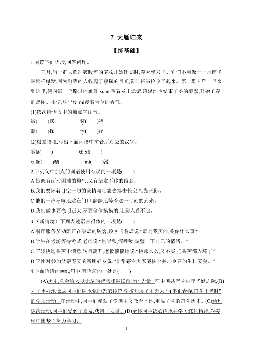 2023-2024学年语文统编版八年级下册课时提高练 7 大雁归来（含解析）