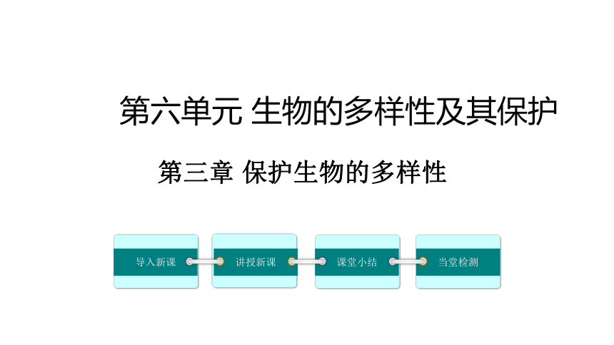 6.3 保护生物的多样性课件(共22张PPT)人教版八年级上册