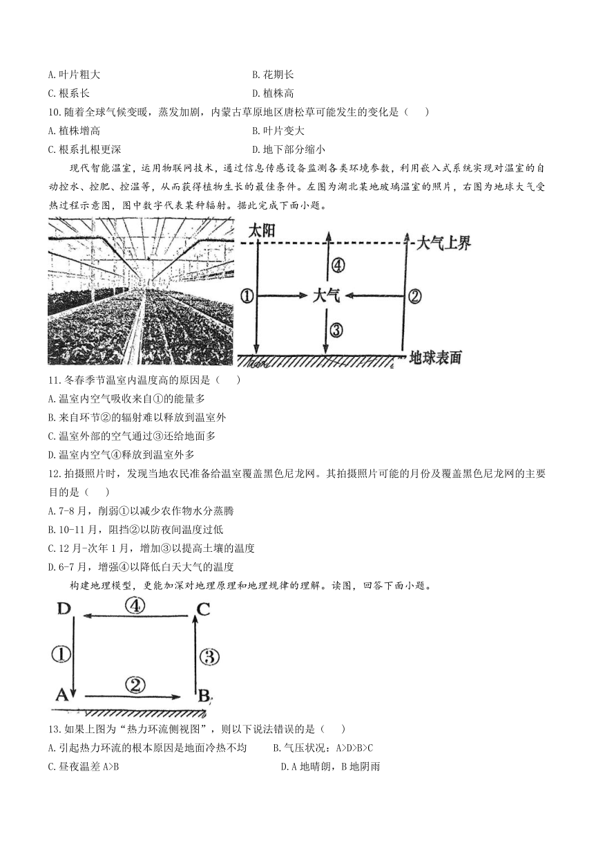 天津市南仓中学2023-2024学年高一上学期12月期中考试地理试题（无答案）