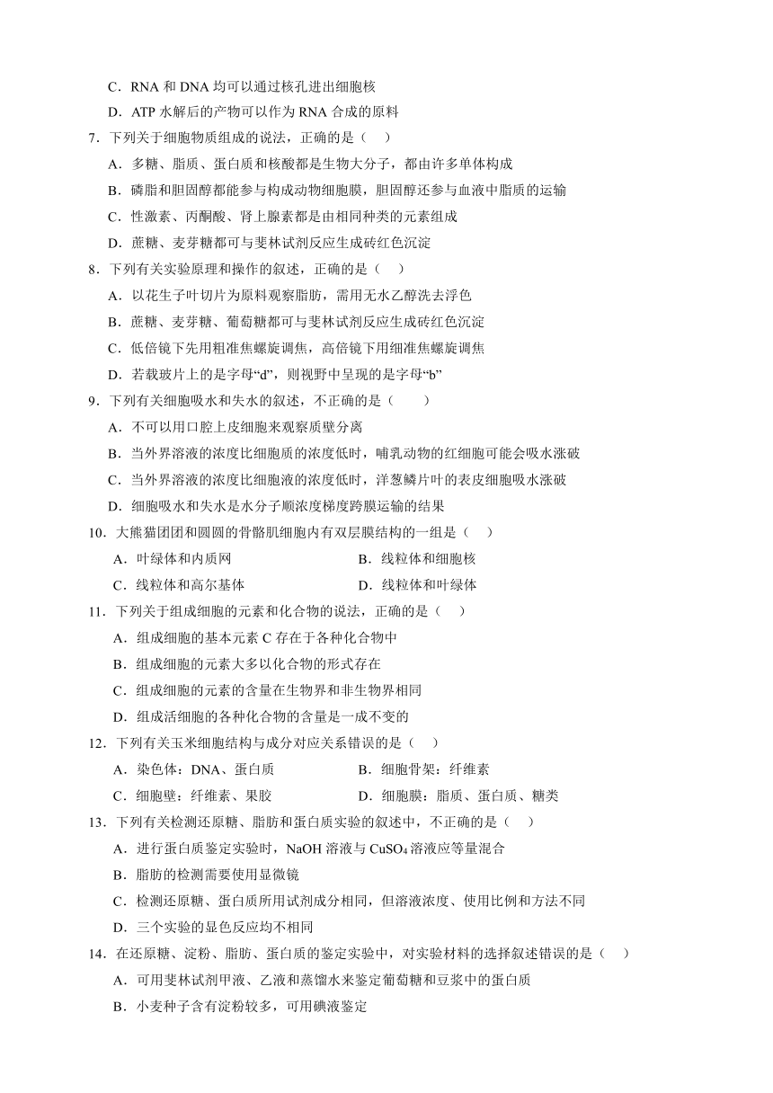 新疆维吾尔自治区巴音郭楞蒙古州且末县第一中学2023-2024学年高三上学期开学考试生物学试题（Word版含解析）