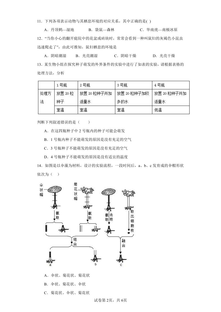 2023-2024学年初中生物苏教版七年级上册期末测试模拟卷（答案+解析）