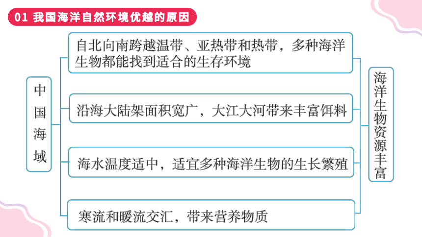 3.4 中国的海洋资源（课件）-2023-2024学年八年级地理上册同步学与练（湘教版）(共40张PPT)
